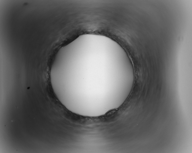 X0000089681349200707201651