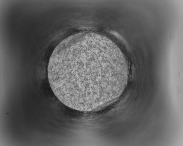 X0000089681350200707201651