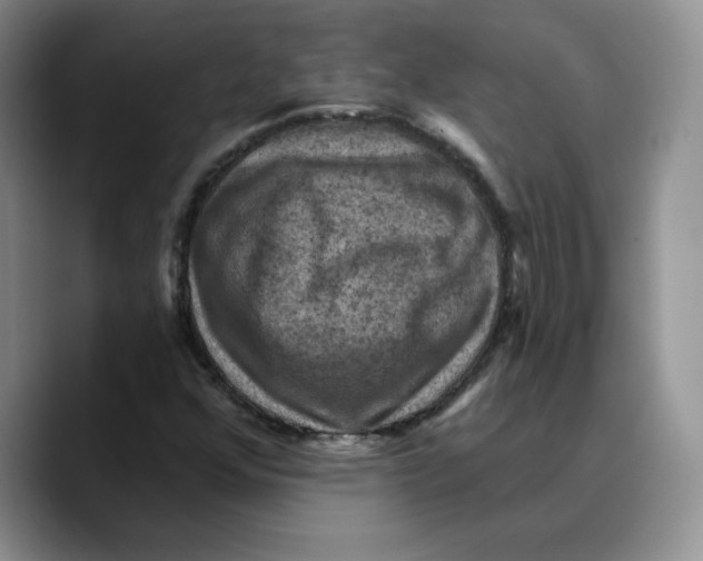 X0000089681352200707201651