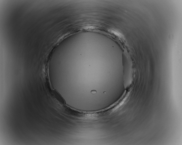 X0000089681353200707201651