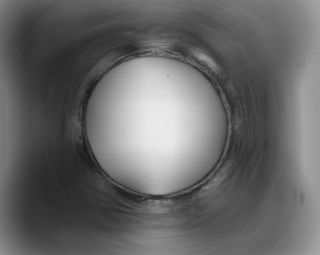 X0000089681354200707201651