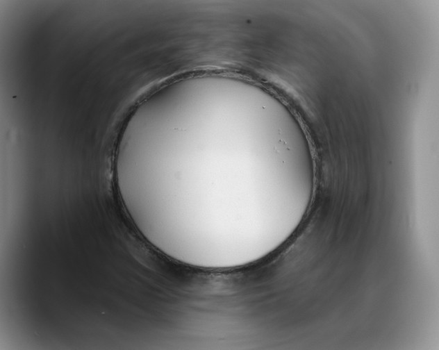 X0000089681355200707201651