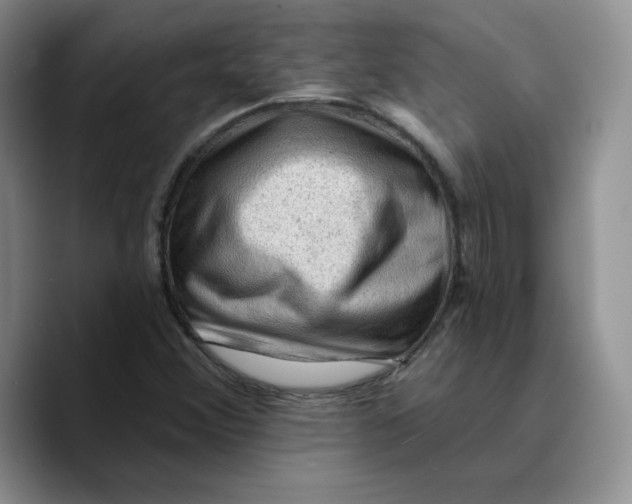 X0000089681356200707201651