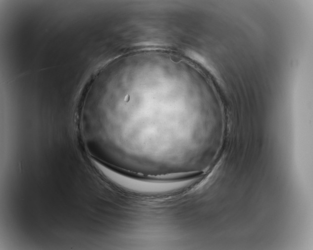 X0000089681357200707201651