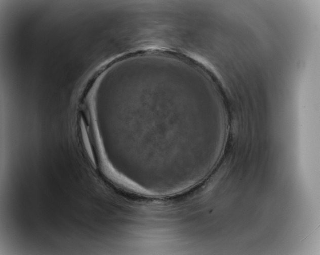 X0000089681359200707201651