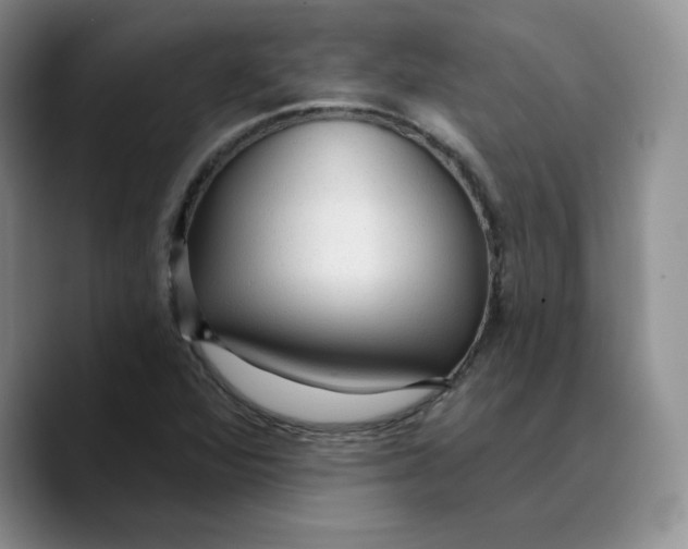 X0000089681360200707201651