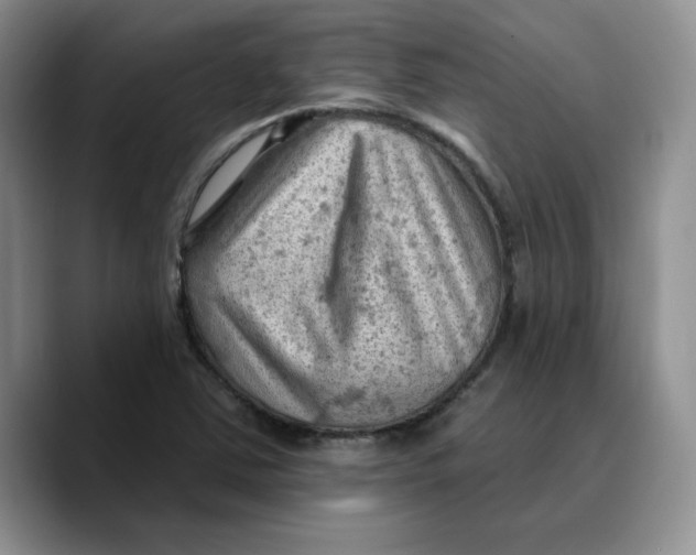 X0000089681363200707201651