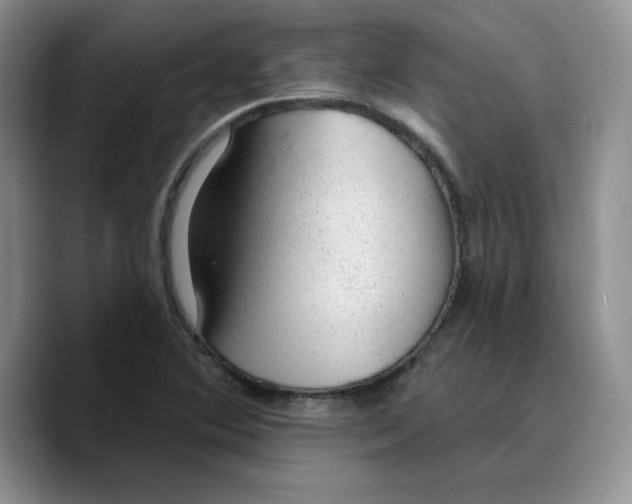 X0000089681364200707201651