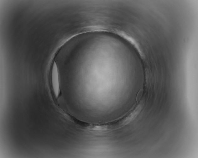 X0000089681365200707201651