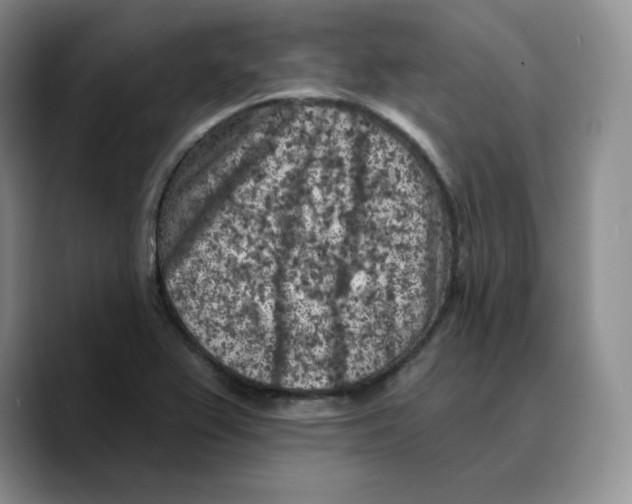 X0000089681367200707201651