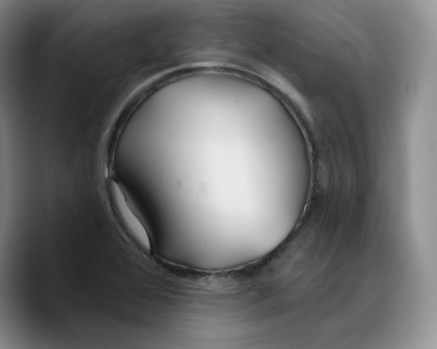 X0000089681368200707201651