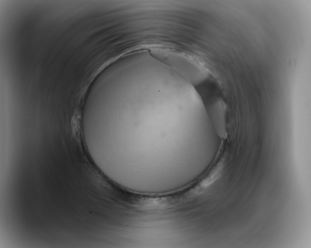 X0000089681369200707201651