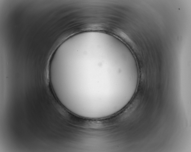 X0000089681370200707201651