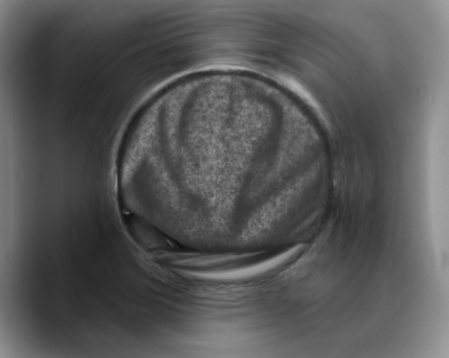 X0000089681372200707201651