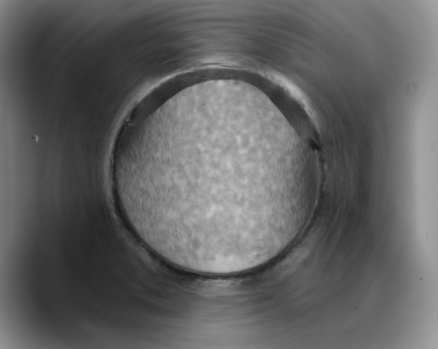 X0000089681373200707201651