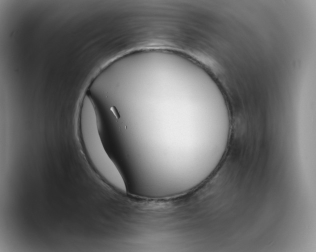 X0000089681374200707201651