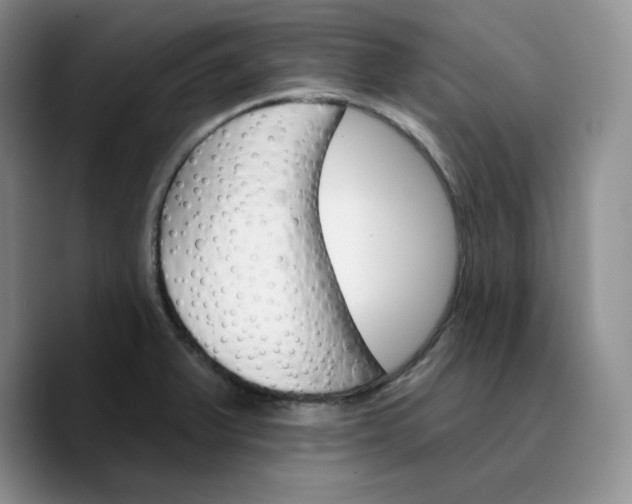 X0000089681375200707201651