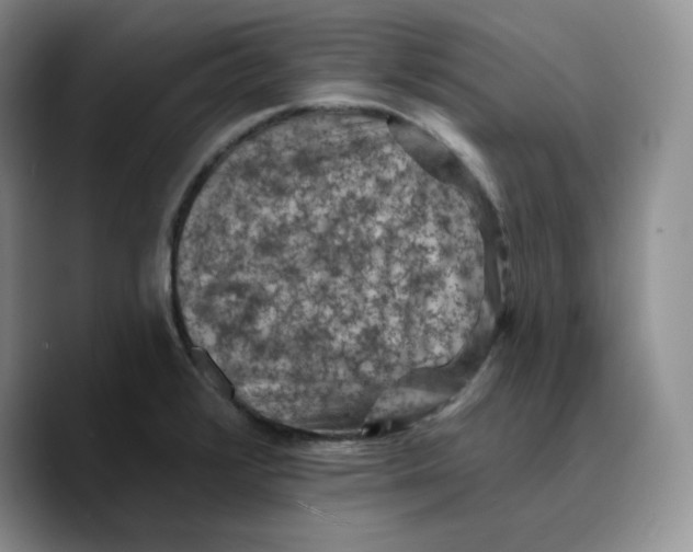 X0000089681376200707201651