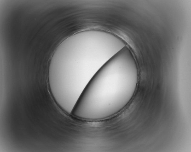 X0000089681377200707201651