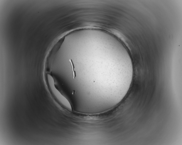 X0000089681379200707201651