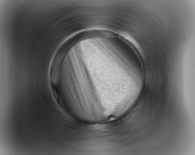 X0000089681380200707201651