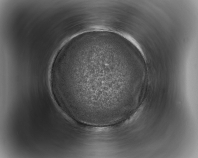 X0000089681381200707201651