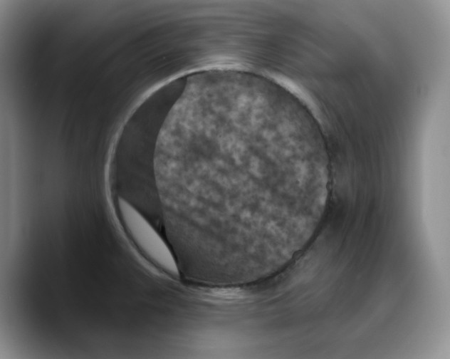 X0000089681383200707201651