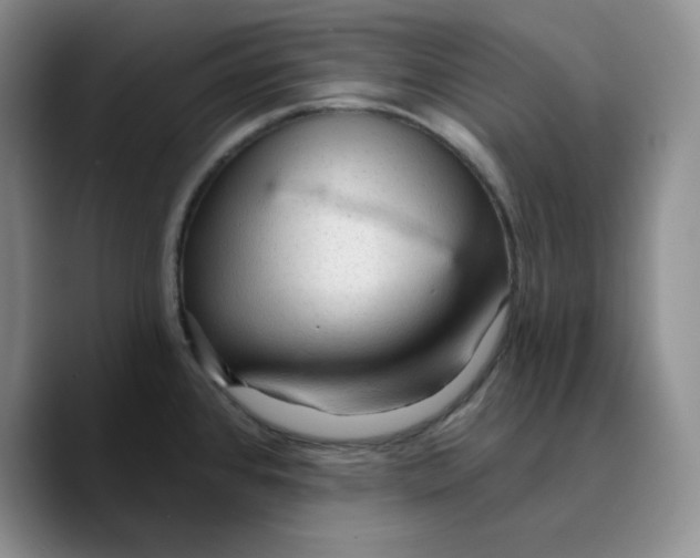 X0000089681384200707201651