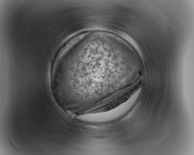 X0000089681388200707201651