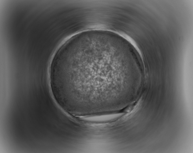 X0000089681389200707201651