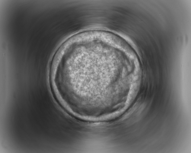 X0000089681390200707201651