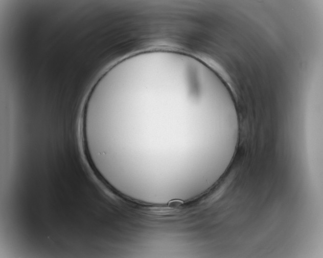 X0000089681391200707201651