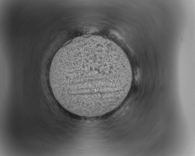 X0000089681393200707201650