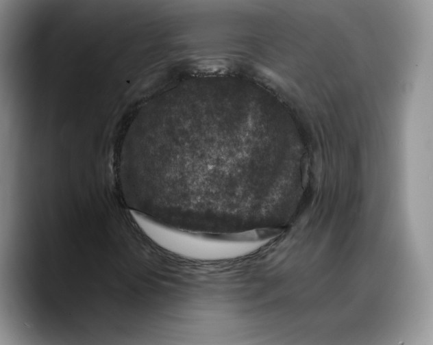 X0000089681394200707201650