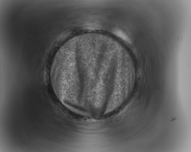 X0000089681398200707201650