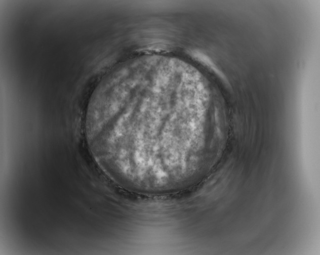 X0000089681399200707201650