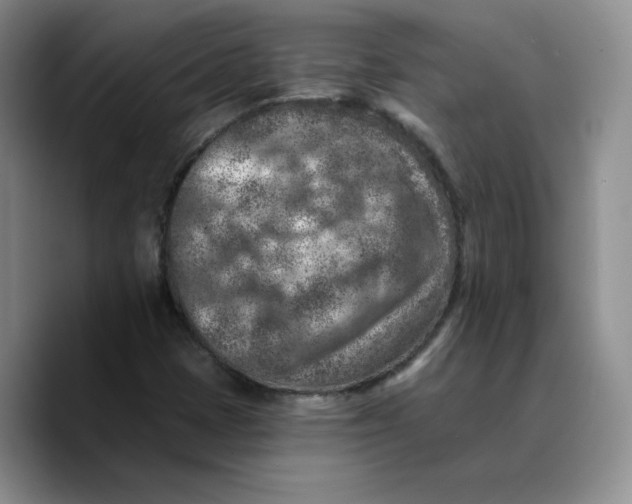 X0000089681401200707201650