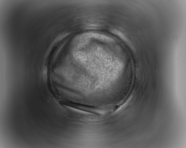 X0000089681402200707201650