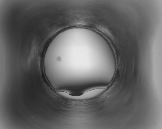 X0000089681404200707201650