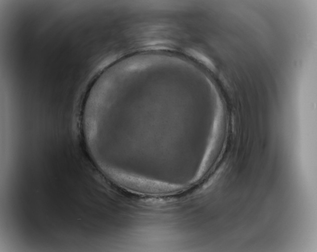 X0000089681405200707201650