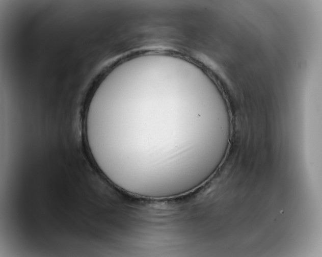 X0000089681408200707201650