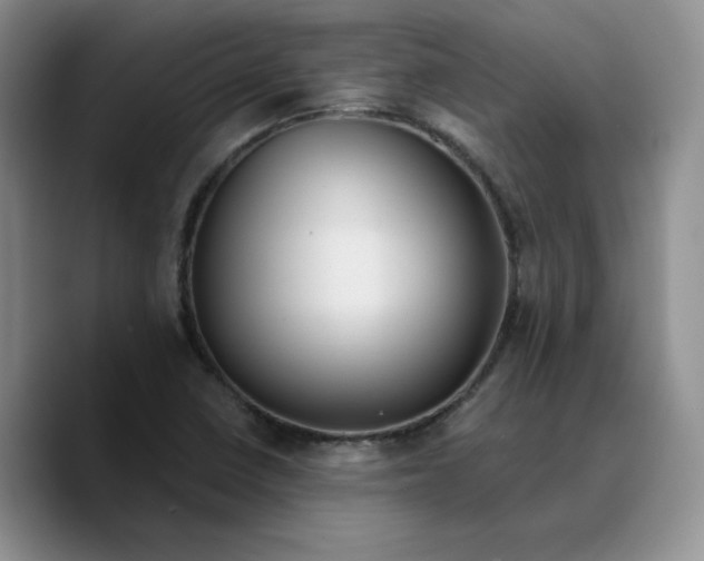 X0000089681410200707201650