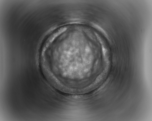 X0000089681411200707201650