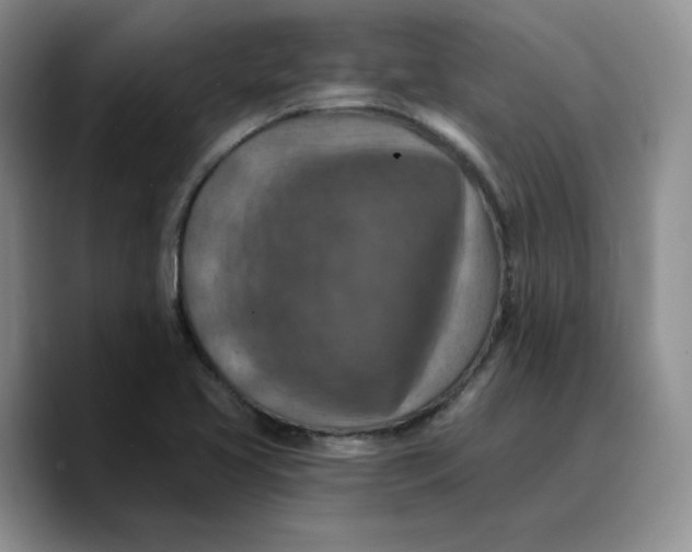 X0000089681413200707201650