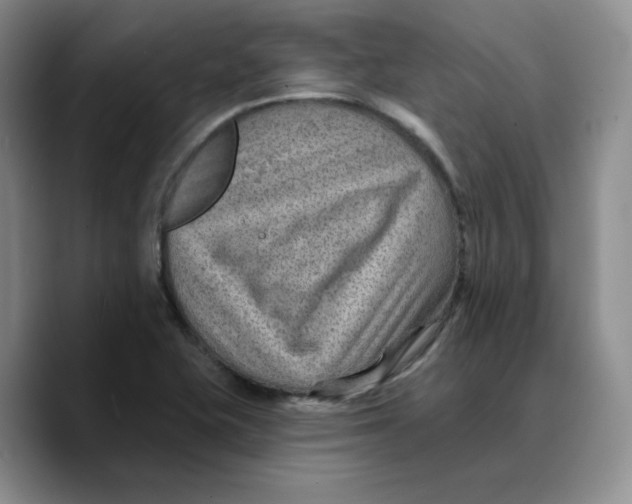 X0000089681415200707201650