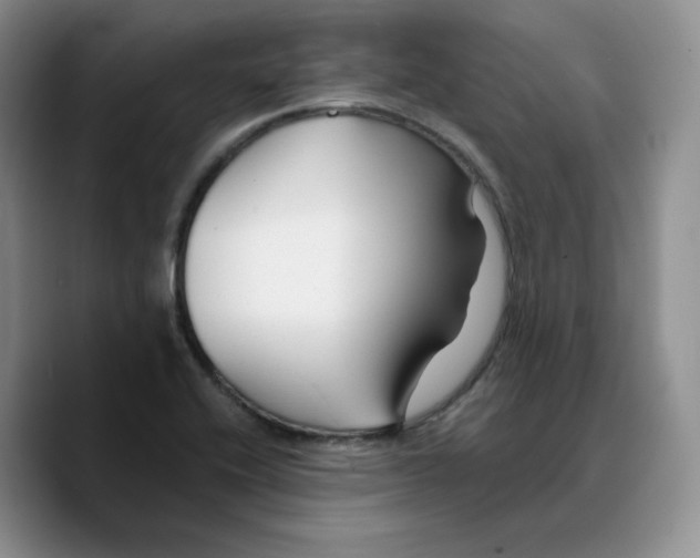 X0000089681416200707201650