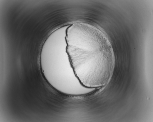 X0000089681417200707201650