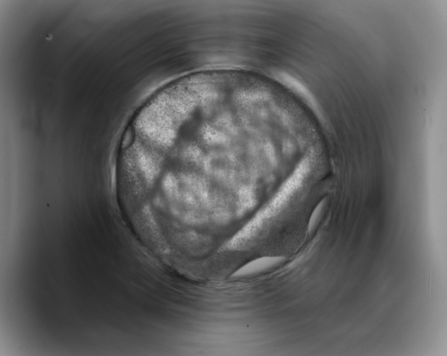 X0000089681419200707201650