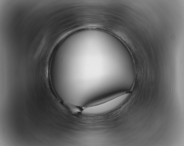 X0000089681420200707201650