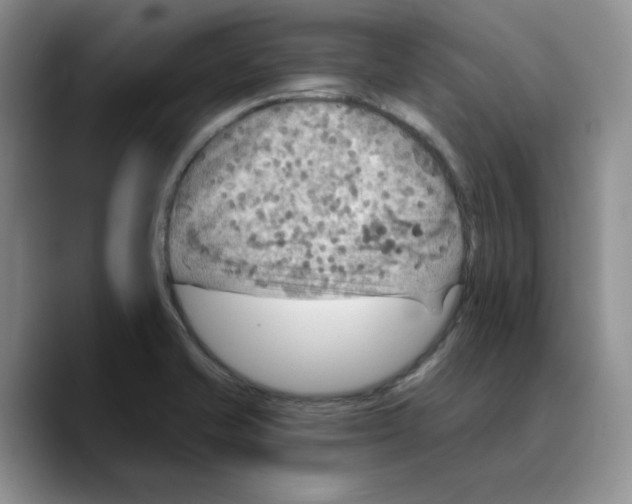 X0000089681421200707201650